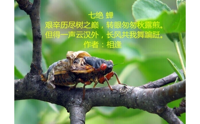 211059iebycon7znkl6eze.jpg.thumb.jpg