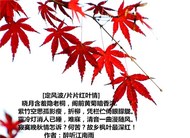QQ图片20140726212206.jpg