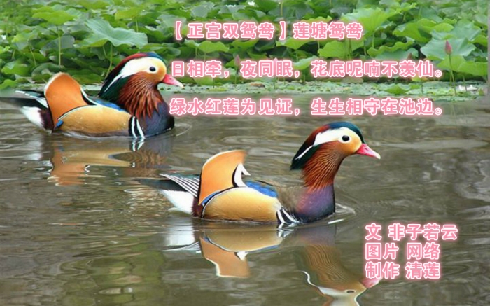 图四.jpg
