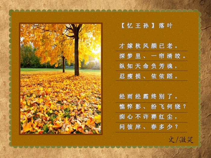 图二.jpg