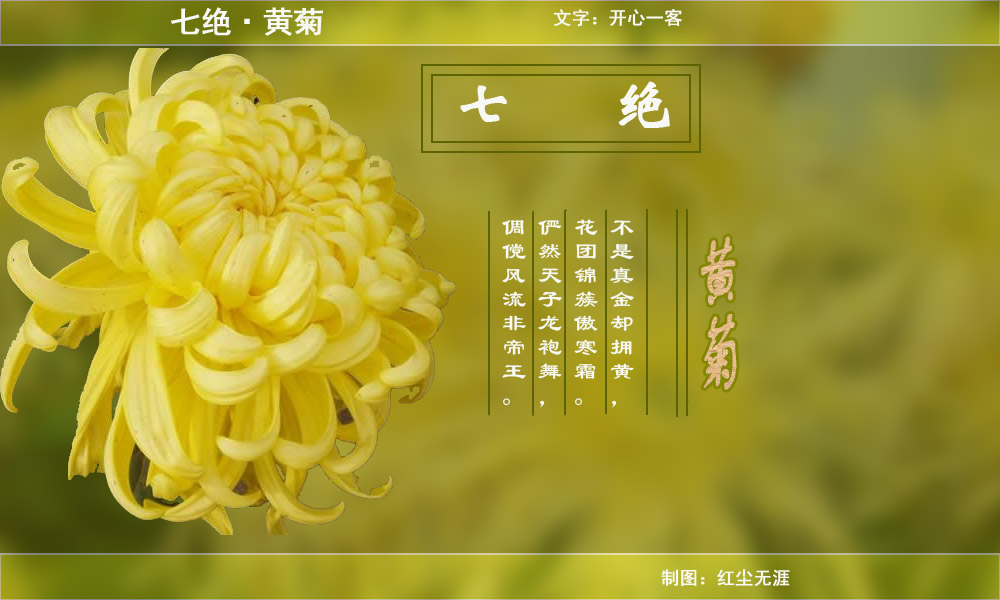 七绝·黄菊副本.jpg
