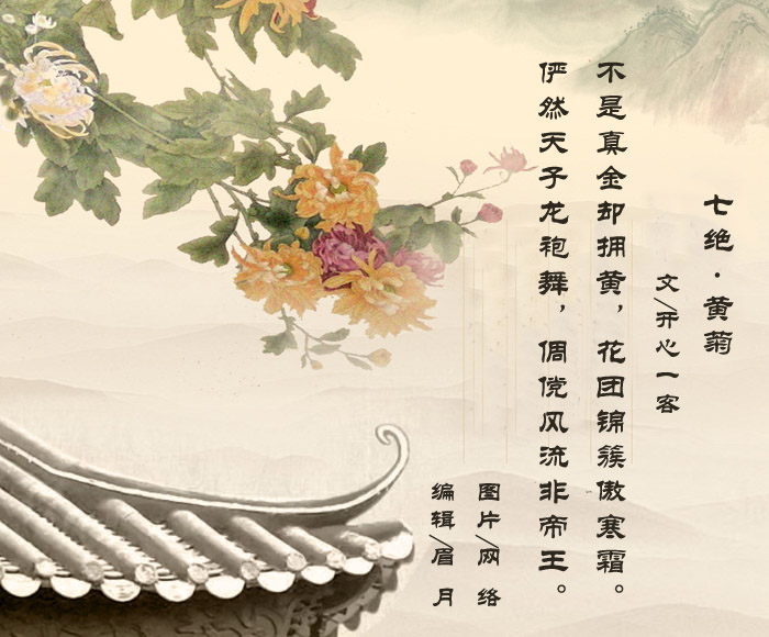 菊花4副本.jpg