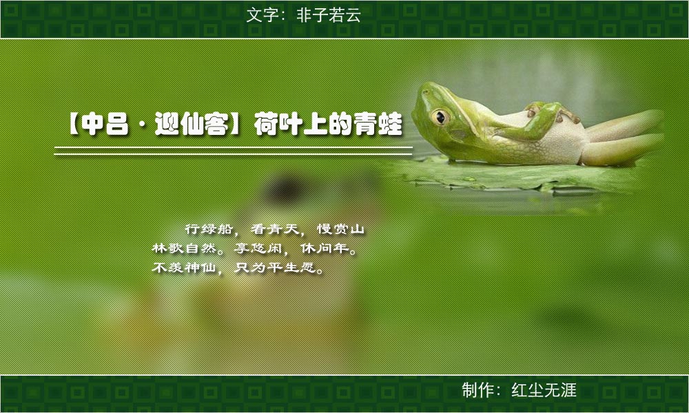 荷叶上的青蛙副本.jpg