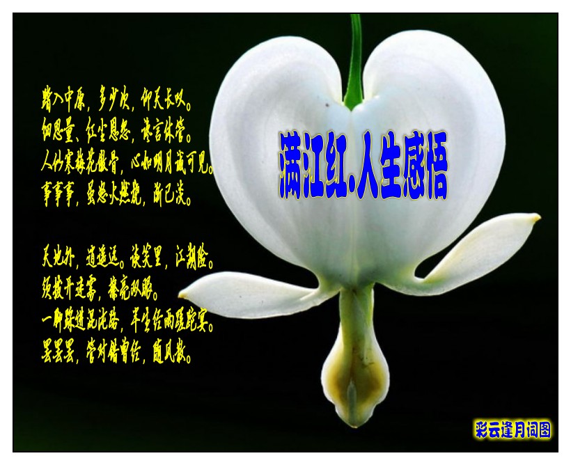zhuomianjiazuogaoqingbizhi_479412_9_conew4.jpg