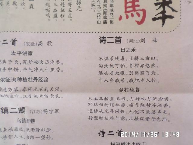 调整大小 诗词报2014十二期发表.JPG