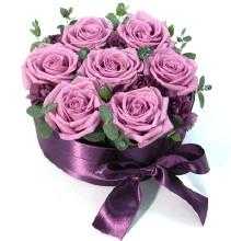 u=4184529485,1632541580&amp;fm=116&amp;gp=0.jpg