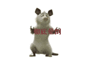 155042d9vhzsvpapizpioi.gif