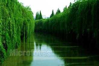 u=1450148880,2804328105&amp;fm=21&amp;gp=0.jpg