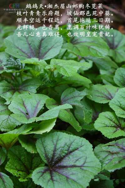 d50735fae6cd7b89fad48f050f2442a7d8330eff_副本.jpg