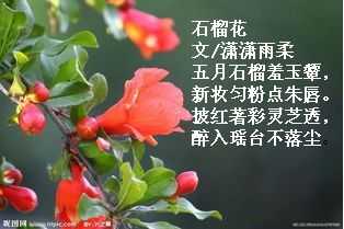 QQ图片20150613221707.jpg