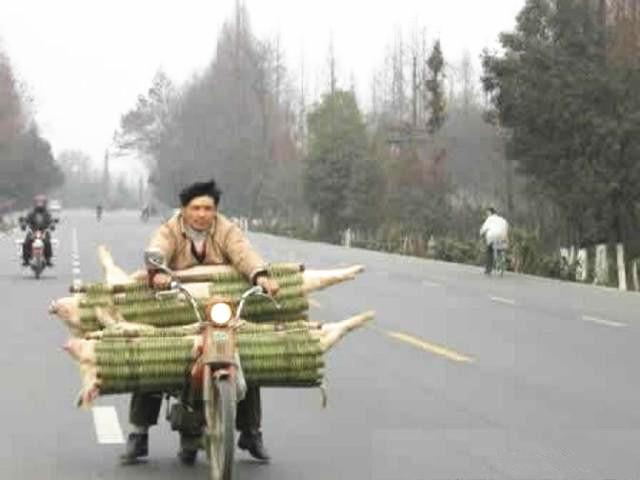 高手在民间.1.jpg