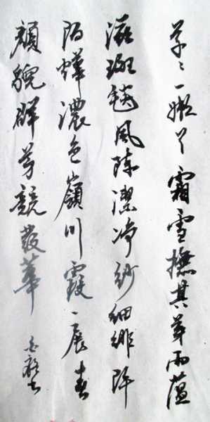 IMG_1366_副本.jpg