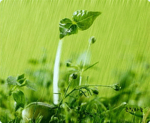t0141b8a57208a708e2.gif