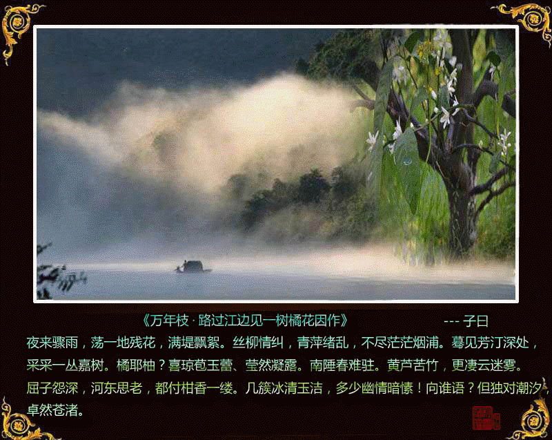 150057z9udd5y53idb7d95.gif