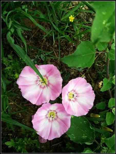 psb.webp (1).jpg