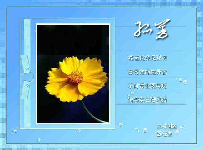 1-11.jpg