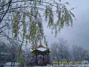 u=2412354342,1782800246&amp;fm=21&amp;gp=0.jpg
