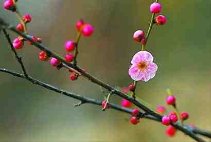 Img335115400.jpg