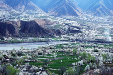 t011a09599d4eb91967梨园5.png
