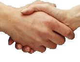 握手2.gif