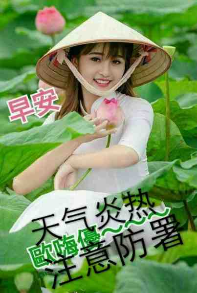 微信图片_20170728064759.jpg
