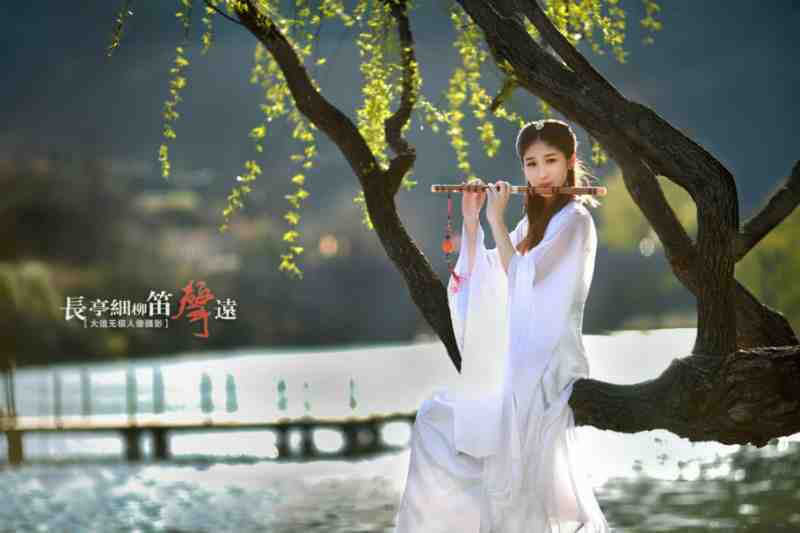 怎能随戴彩云衣.jpg