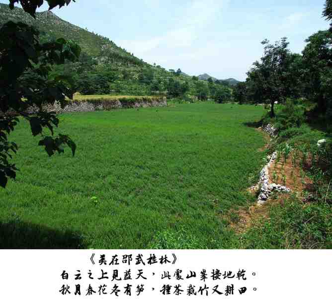 《美在邵武桂林》9.jpg