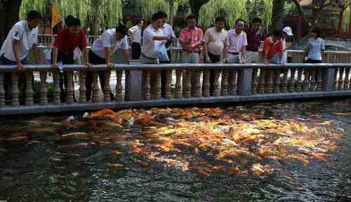 水榭.jpg