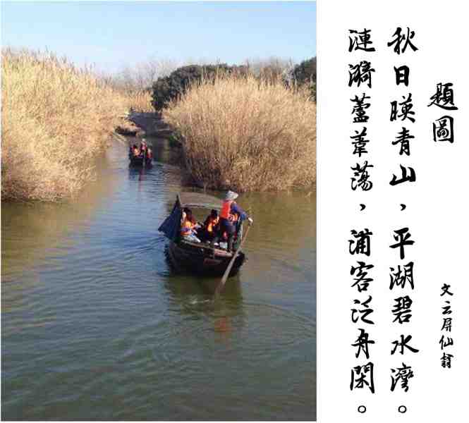 涟漪芦荡.jpg