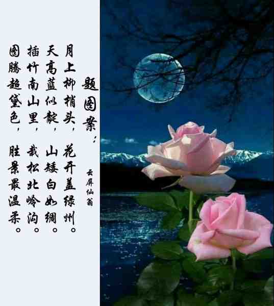 题图案本.jpg