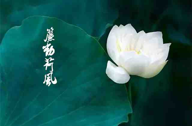 127666986_3_20180319035814191_副本.jpg