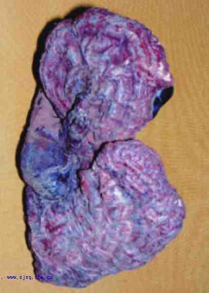 201312219524597347.jpg