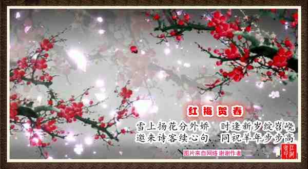 030红梅贺春.jpg