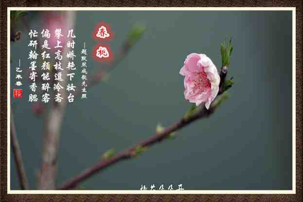043春桃.jpg