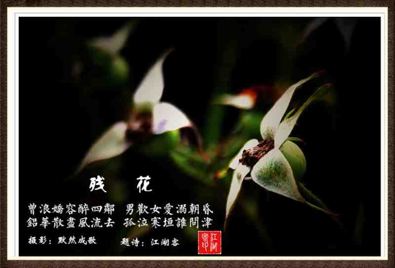 063残花.jpg