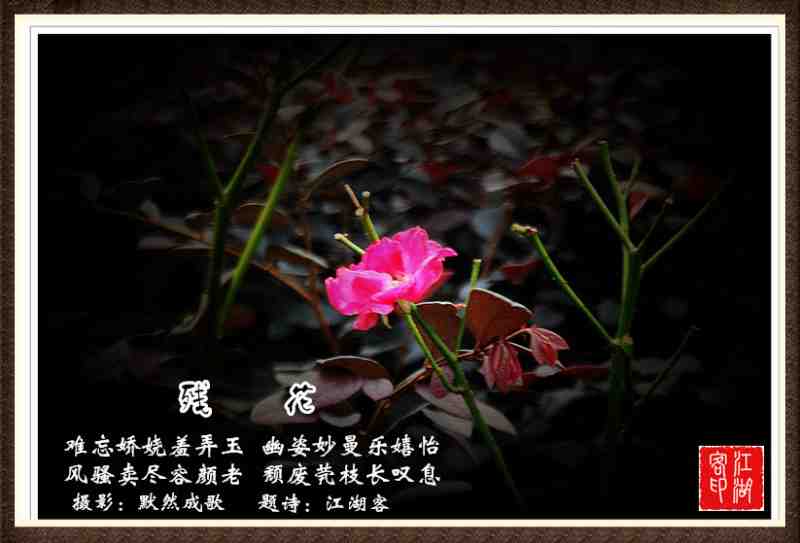 064残花2.jpg