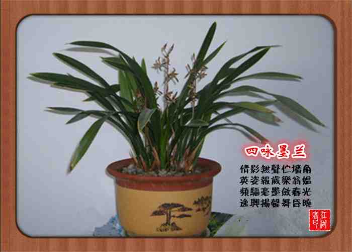 069四咏墨兰.jpg