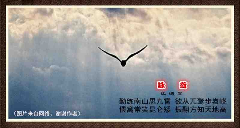 241咏鸢.jpg