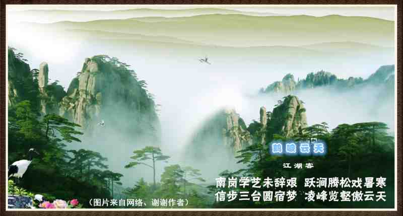 242鹤唳云天.jpg