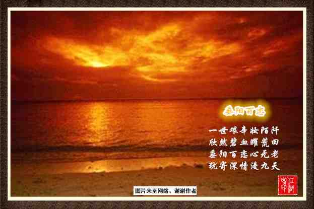 262垂阳百恋.jpg