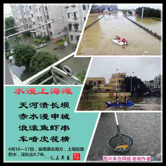 296雨漫上海滩.jpg