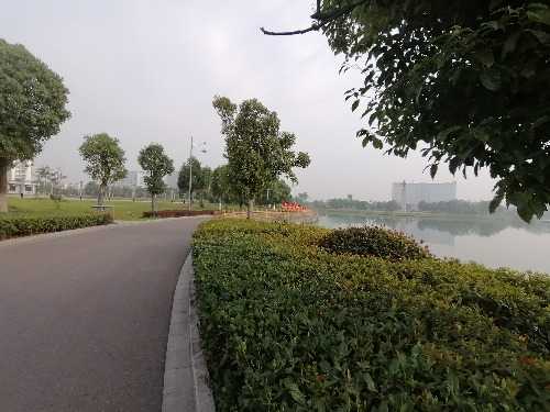 IMG_20190609_065826.jpg