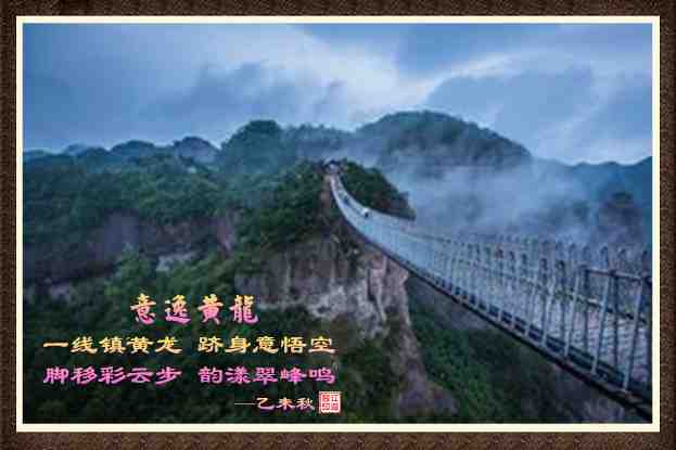 392意逸黄龙.jpg