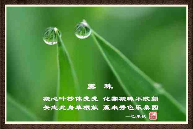 414露珠.jpg