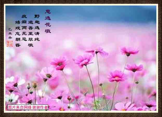 430意逸花墩.jpg