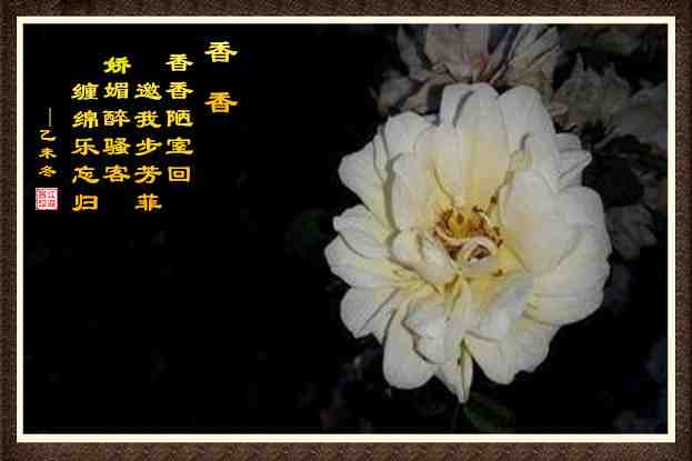 431香香.jpg