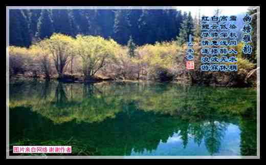 456幽塘雅韵.jpg