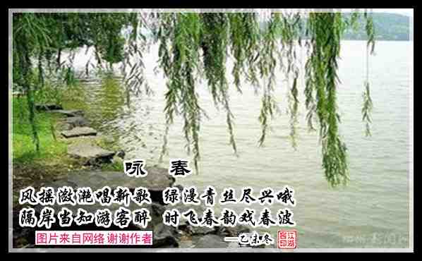 502咏春.jpg