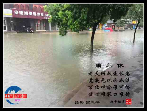 663雨无休.jpg