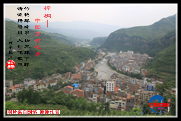 708梓桐.jpg
